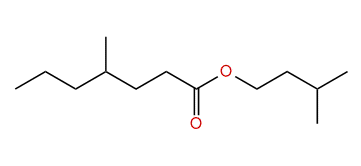 Isopentyl 4-methylheptanoate